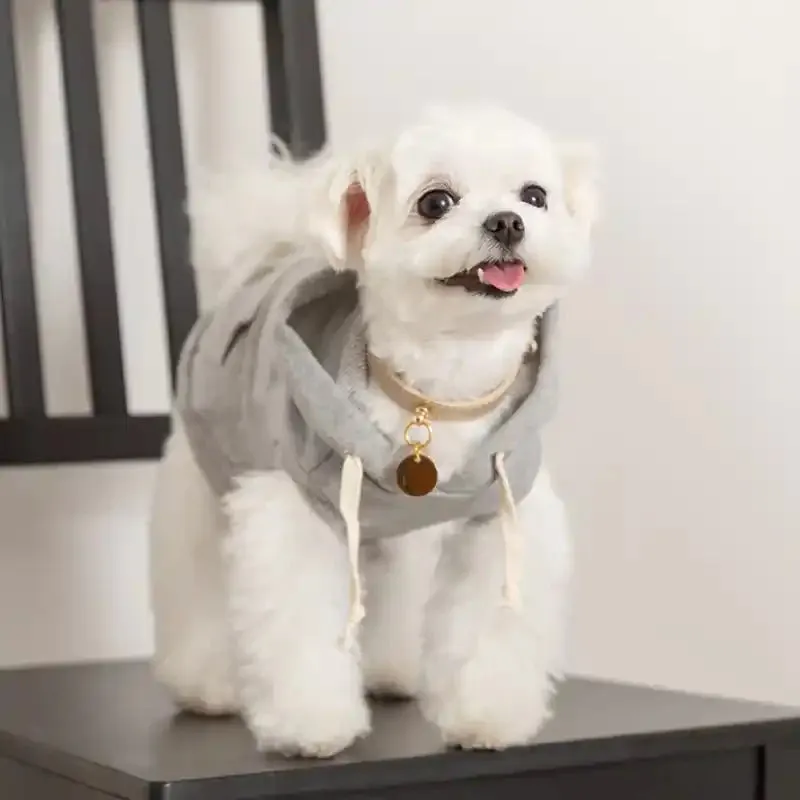 The Essential Dog Hoodie